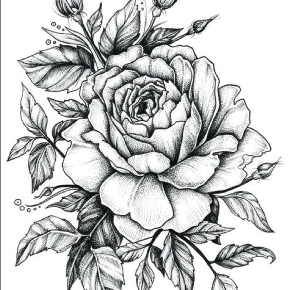 Meet your Posher, Lilleemae